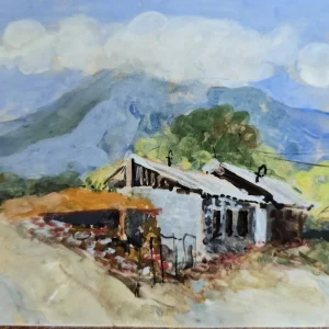 Halidzor Village